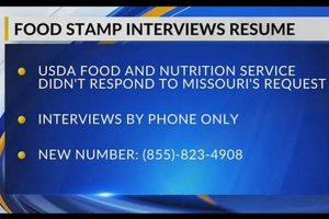 MO Food Stamp Interview Number: Get Benefits FAST | World’s Most Delicious Foods: Must-Try Dishes from Every Country