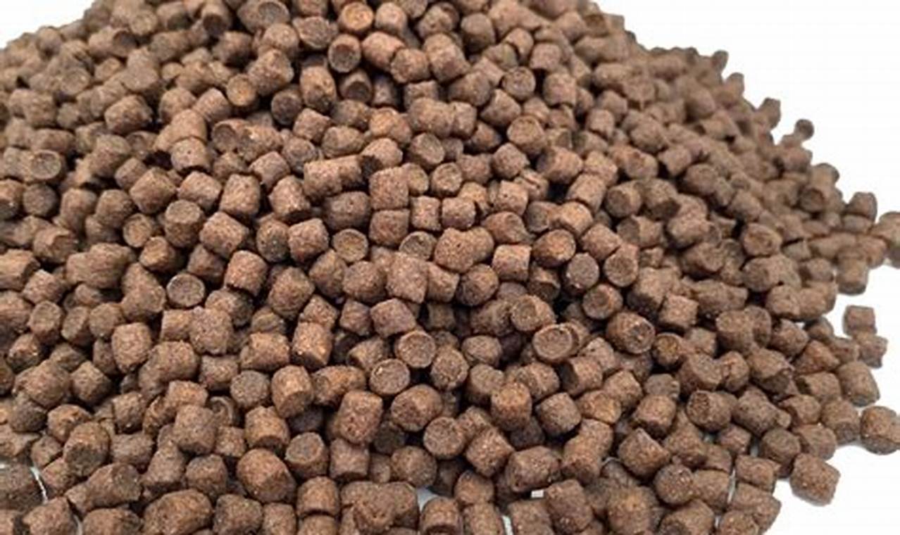 Best Pellet Fish Food for Ponds: Complete Guide | World’s Most Delicious Foods: Must-Try Dishes from Every Country