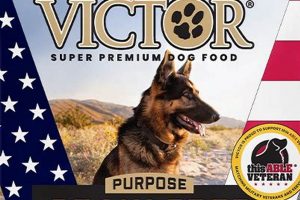Fuel Your Hero: Victor Hero Canine Dog Food Review & Benefits World’s Most Delicious Foods: Must-Try Dishes from Every Country Fuel Your Hero: Victor Hero Canine Dog Food Review & Benefits | World’s Most Delicious Foods: Must-Try Dishes from Every Country