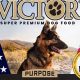 Fuel Your Hero: Victor Hero Canine Dog Food Review & Benefits | World’s Most Delicious Foods: Must-Try Dishes from Every Country