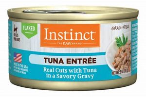 Best Wet Cat Food Tuna: Healthy, Tasty Choices! | World’s Most Delicious Foods: Must-Try Dishes from Every Country