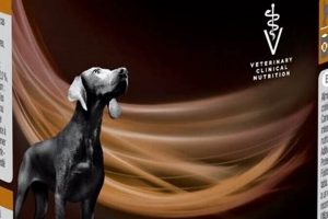 Purina Renal Dog Food: Diet &amp; Kidney Health Guide for Dogs | World’s Most Delicious Foods: Must-Try Dishes from Every Country