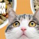 Best Nom Nom Cat Food: Healthy & Convenient Meals | World’s Most Delicious Foods: Must-Try Dishes from Every Country