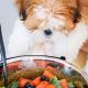 Making Homemade Vegan Dog Food: Recipes & Tips! | World’s Most Delicious Foods: Must-Try Dishes from Every Country
