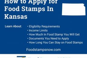 SNAP Guide: Food Stamps Application Kansas Made Easy World’s Most Delicious Foods: Must-Try Dishes from Every Country SNAP Guide: Food Stamps Application Kansas Made Easy | World’s Most Delicious Foods: Must-Try Dishes from Every Country