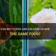 Betta Basics: Can Betta Fish Eat Goldfish Food? Dangers! | World’s Most Delicious Foods: Must-Try Dishes from Every Country