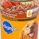 Is Cheese Dog Food Good? [Benefits & Risks] | World’s Most Delicious Foods: Must-Try Dishes from Every Country