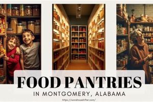 Find: Food Pantries in Montgomery, AL (Near Me) World’s Most Delicious Foods: Must-Try Dishes from Every Country Find: Food Pantries in Montgomery, AL (Near Me) | World’s Most Delicious Foods: Must-Try Dishes from Every Country