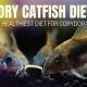 The *BEST* Best Food for Cory Cats *GUIDE* | World’s Most Delicious Foods: Must-Try Dishes from Every Country