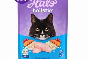 Best Halo Holistic Cat Food: Reviews & Benefits [2024] | World’s Most Delicious Foods: Must-Try Dishes from Every Country