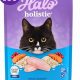 Best Halo Holistic Cat Food: Reviews & Benefits [2024] | World’s Most Delicious Foods: Must-Try Dishes from Every Country