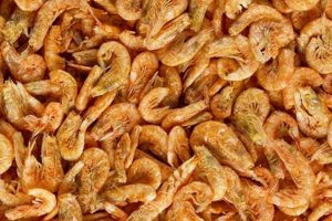 Best Fish Food Krill: Enhance Color & Growth! World’s Most Delicious Foods: Must-Try Dishes from Every Country Best Fish Food Krill: Enhance Color & Growth! | World’s Most Delicious Foods: Must-Try Dishes from Every Country