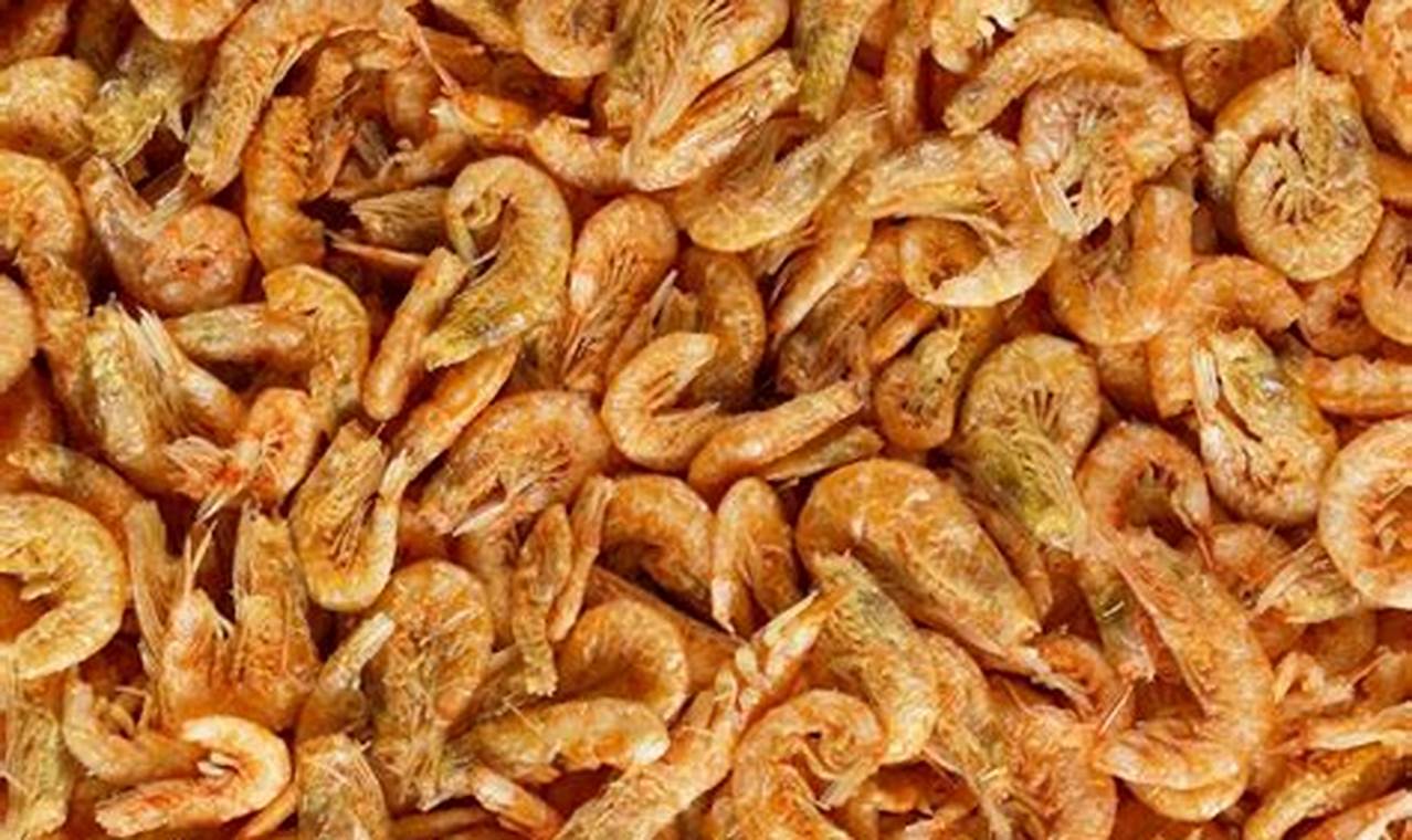 Best Fish Food Krill: Enhance Color & Growth! World’s Most Delicious Foods: Must-Try Dishes from Every Country Best Fish Food Krill: Enhance Color & Growth! | World’s Most Delicious Foods: Must-Try Dishes from Every Country