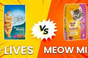 Meow Mix vs 9Lives: Best Budget Cat Food? | World’s Most Delicious Foods: Must-Try Dishes from Every Country