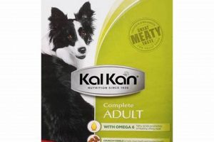 Best Kalkan Dog Food: Nutrition & More for Dogs! | World’s Most Delicious Foods: Must-Try Dishes from Every Country