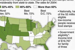 Can Homeless People Get Food Stamps? Guide &amp; Benefits | World’s Most Delicious Foods: Must-Try Dishes from Every Country