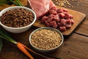 Dog's Guide: How to Make Dry Dog Food at Home (Easy!) | World’s Most Delicious Foods: Must-Try Dishes from Every Country