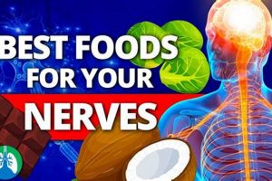 The Ultimate Best Food for Nerves Repair: Diet Guide | World’s Most Delicious Foods: Must-Try Dishes from Every Country