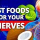 The Ultimate Best Food for Nerves Repair: Diet Guide | World’s Most Delicious Foods: Must-Try Dishes from Every Country