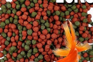 Best Fish Food for Koi &amp; Goldfish: Guide &amp; Reviews | World’s Most Delicious Foods: Must-Try Dishes from Every Country