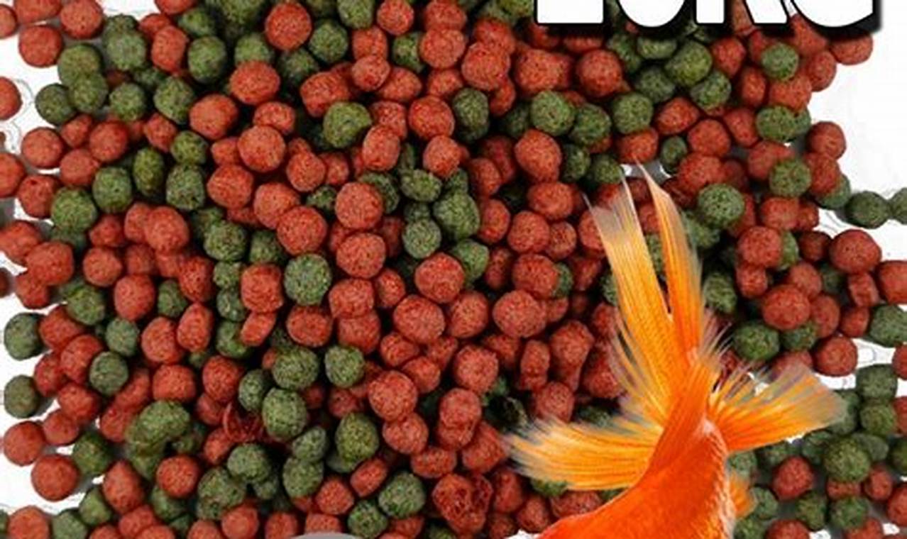 Best Fish Food for Koi & Goldfish: Guide & Reviews World’s Most Delicious Foods: Must-Try Dishes from Every Country Best Fish Food for Koi & Goldfish: Guide & Reviews | World’s Most Delicious Foods: Must-Try Dishes from Every Country