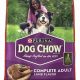 Purple Bag Dog Food: Guide & Best Options for Your Dog | World’s Most Delicious Foods: Must-Try Dishes from Every Country