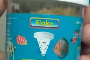 Live Black Worms for Fish Food: A Nutritional Guide | World’s Most Delicious Foods: Must-Try Dishes from Every Country