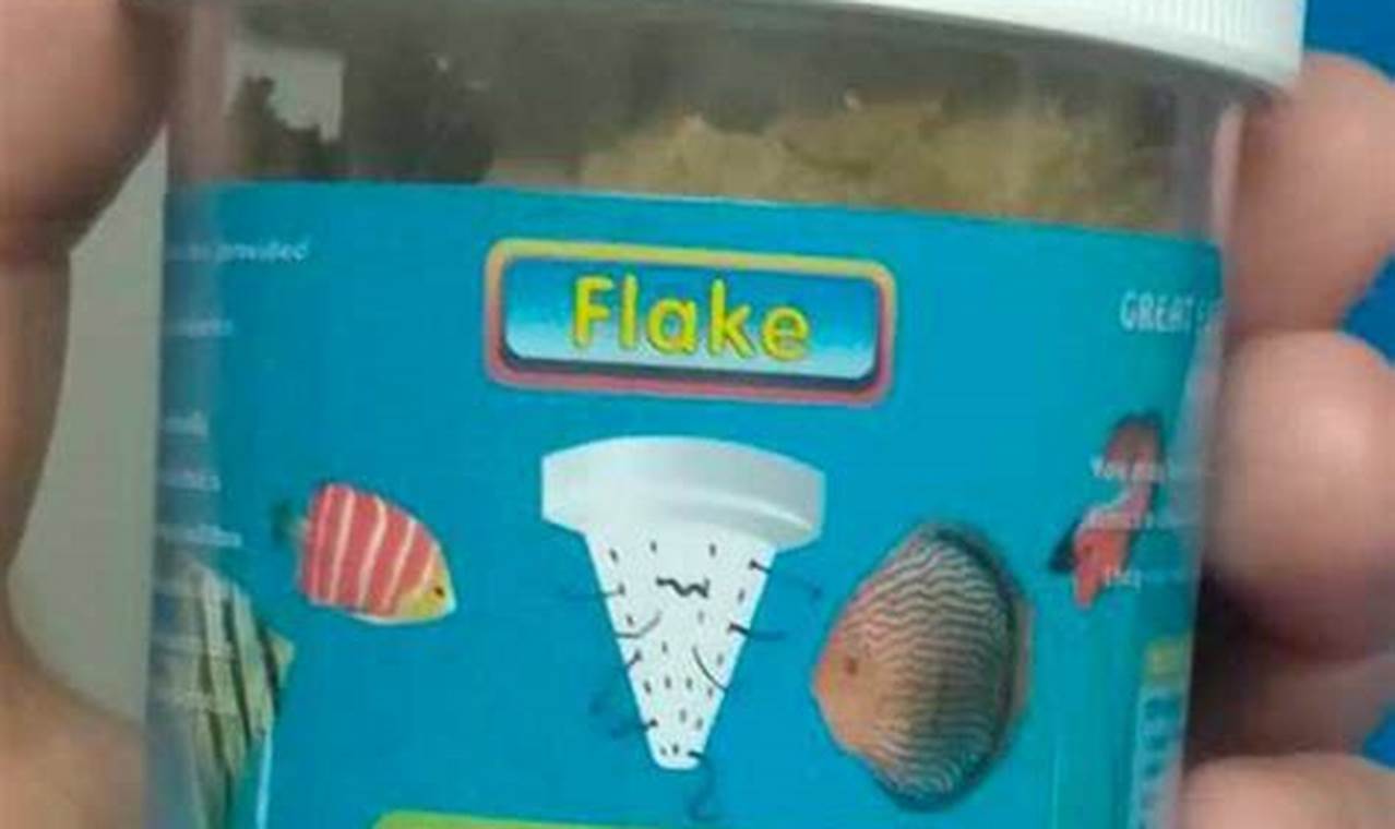 Live Black Worms for Fish Food: A Nutritional Guide | World’s Most Delicious Foods: Must-Try Dishes from Every Country