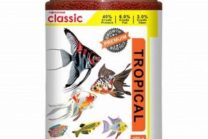 Best Fish Food for Tropical Fish: Brands & Guide | World’s Most Delicious Foods: Must-Try Dishes from Every Country