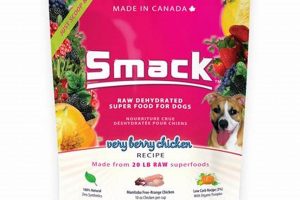 Honest Smack Dog Food Reviews: Is It Right for Your Dog? | World’s Most Delicious Foods: Must-Try Dishes from Every Country
