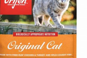Best Orijen Cat Food 12 lb: Premium Nutrition Deals! | World’s Most Delicious Foods: Must-Try Dishes from Every Country