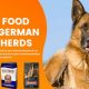 Top Picks: Best Dog Food for German Shepherds with Allergies Guide | World’s Most Delicious Foods: Must-Try Dishes from Every Country