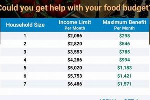 Iowa Food Stamps: Income Guidelines You Need to Know (2024) World’s Most Delicious Foods: Must-Try Dishes from Every Country Iowa Food Stamps: Income Guidelines You Need to Know (2024) | World’s Most Delicious Foods: Must-Try Dishes from Every Country