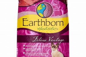 Top Best Holistic Cat Food Options: A Guide | World’s Most Delicious Foods: Must-Try Dishes from Every Country