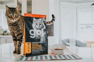 Best Go Solutions Cat Food: Reviews & More! | World’s Most Delicious Foods: Must-Try Dishes from Every Country