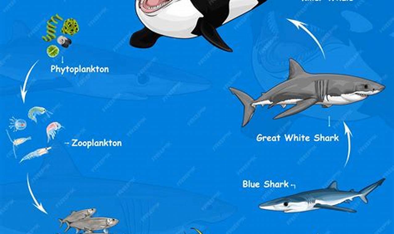 Understanding Fish in the Food Chain: Roles &amp; Impact | World’s Most Delicious Foods: Must-Try Dishes from Every Country