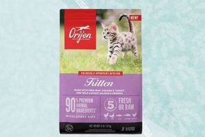 Top: Best Can Kitten Food Brands Reviewed (2024) | World’s Most Delicious Foods: Must-Try Dishes from Every Country