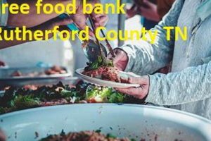 Your Local Food Bank: Rutherford County Murfreesboro TN Help World’s Most Delicious Foods: Must-Try Dishes from Every Country Your Local Food Bank: Rutherford County Murfreesboro TN Help | World’s Most Delicious Foods: Must-Try Dishes from Every Country
