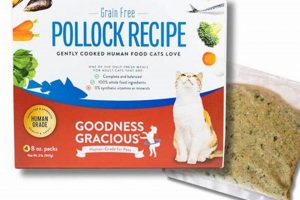 Is Goodness Gracious Cat Food The Best Choice? + Review | World’s Most Delicious Foods: Must-Try Dishes from Every Country