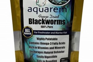 Best Alternative Fish Food: Types & Guide World’s Most Delicious Foods: Must-Try Dishes from Every Country Best Alternative Fish Food: Types & Guide | World’s Most Delicious Foods: Must-Try Dishes from Every Country