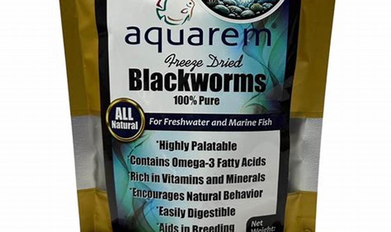 Best Alternative Fish Food: Types & Guide | World’s Most Delicious Foods: Must-Try Dishes from Every Country