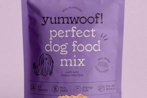 Best Yumwoof Dog Food: Healthy, Natural & Delicious! | World’s Most Delicious Foods: Must-Try Dishes from Every Country