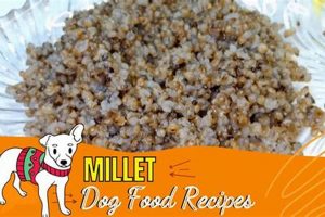 Is Millet in Dog Food Good? Benefits &amp; More | World’s Most Delicious Foods: Must-Try Dishes from Every Country