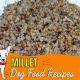 Is Millet in Dog Food Good? Benefits &amp; More | World’s Most Delicious Foods: Must-Try Dishes from Every Country