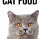 Boost: High Calorie Cat Food Supplement Guide for Weight Gain | World’s Most Delicious Foods: Must-Try Dishes from Every Country