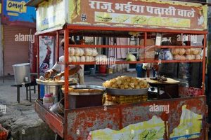 Best Indian Food Cart Near You: Flavorful India! | World’s Most Delicious Foods: Must-Try Dishes from Every Country