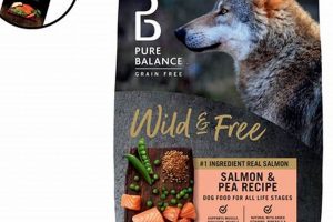 Best Salmon Dog Food Dry: Health & Brands For Dogs | World’s Most Delicious Foods: Must-Try Dishes from Every Country