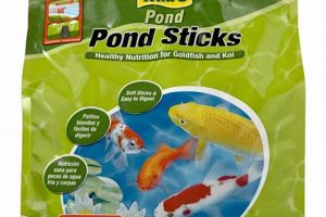 Buy Tetra Koi Fish Food: Quality & More! | World’s Most Delicious Foods: Must-Try Dishes from Every Country