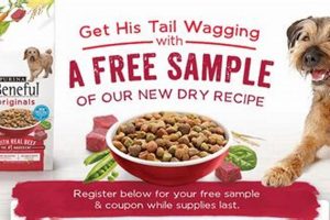 Get Dog Food Samples Free Today! - [Brand] | World’s Most Delicious Foods: Must-Try Dishes from Every Country