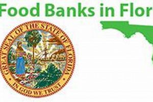 Best Food Banks in Melbourne, FL: Help & Resources | World’s Most Delicious Foods: Must-Try Dishes from Every Country